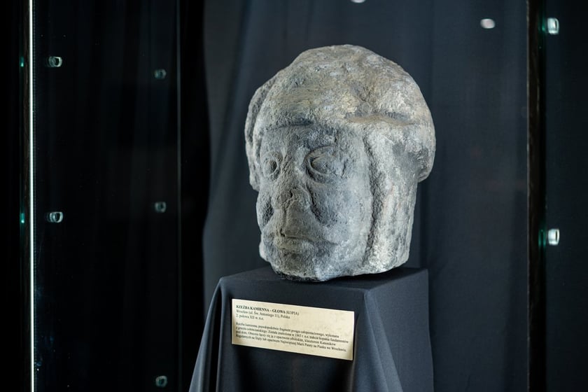 Wystawa Artificalia, naturalia, exotica w Muzeum Archeologicznym we Wrocławiu